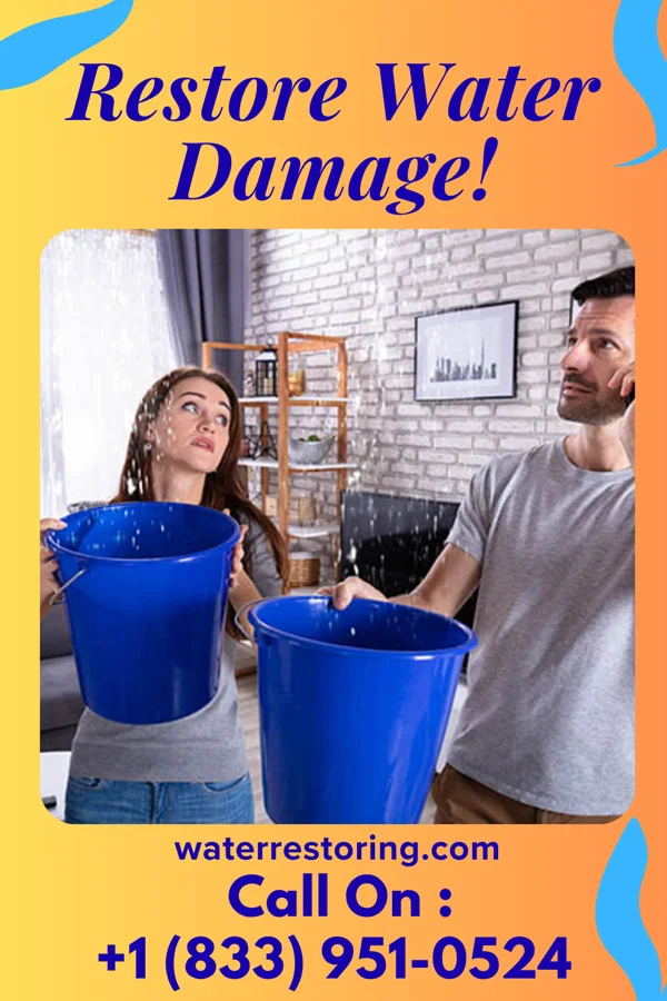 water restoration Eco Disaster Cleanup Company Chenoa