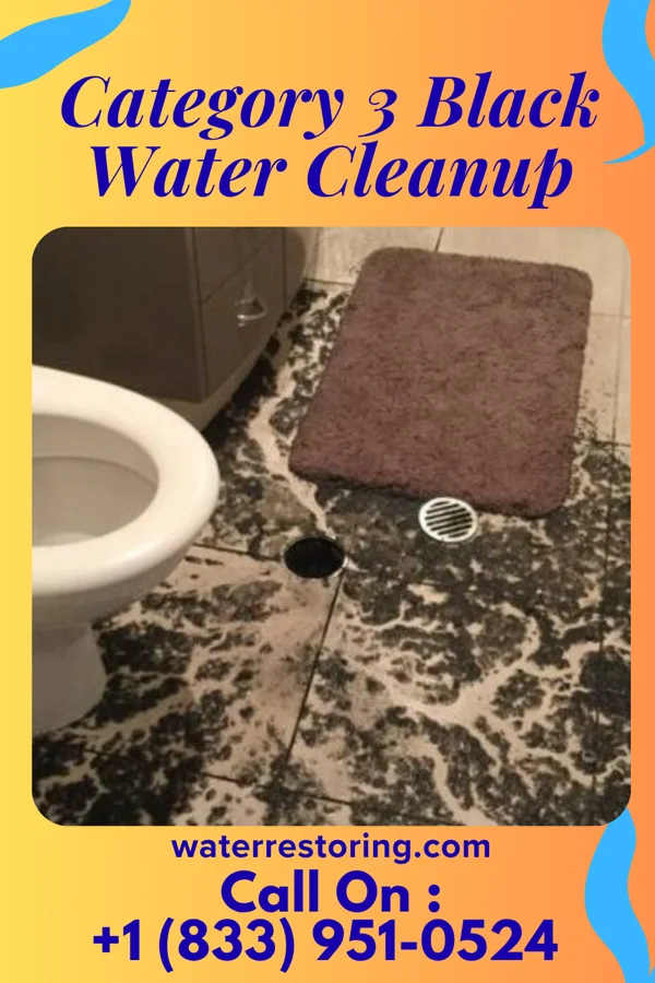 Category 3 Black Water Cleanup in Chenoa, IL